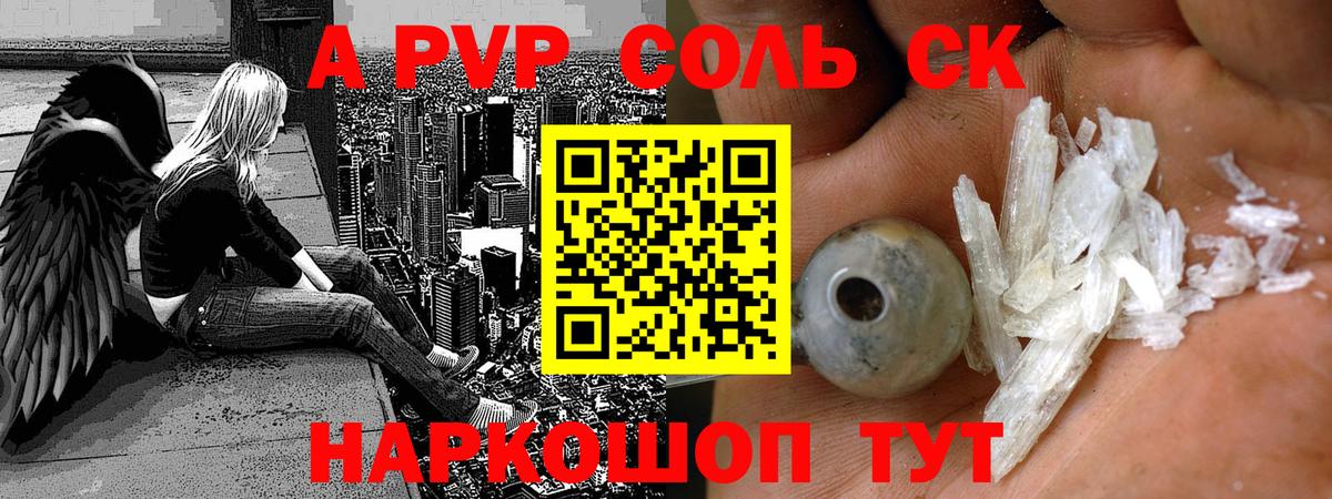 A PVP СК КРИС Новоалександровск