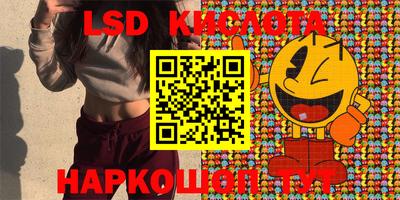 стаф Донской