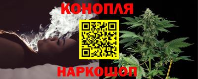 стаф Донской