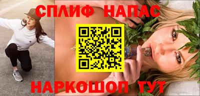 стаф Донской