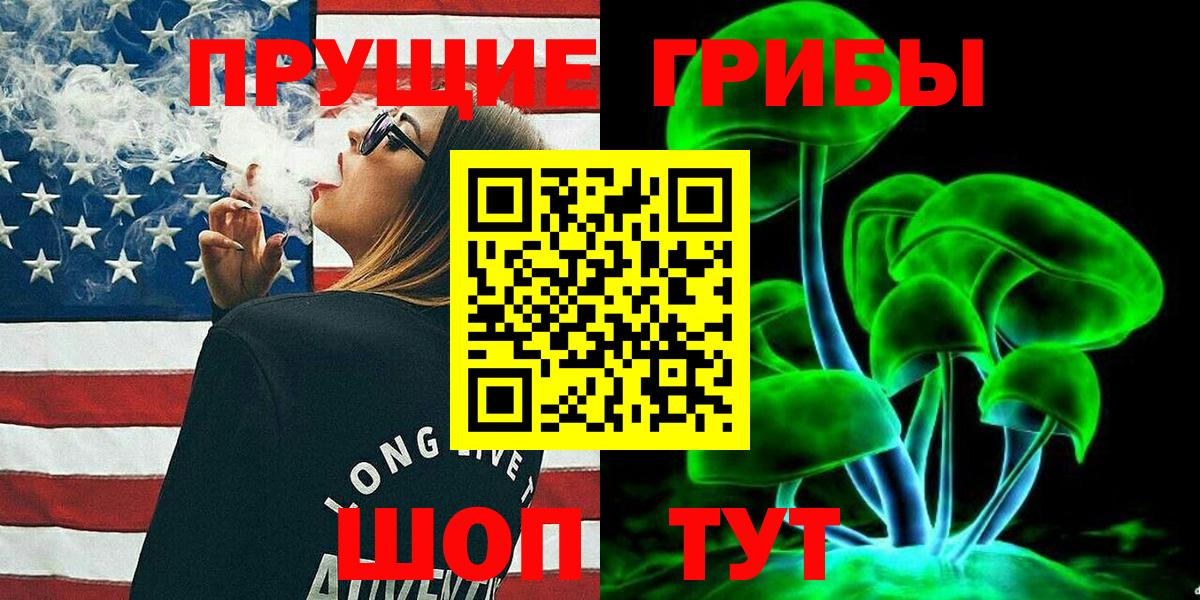 Новоалександровск  Псилоцибиновые грибы Cubensis  Вход с VPN  Псилоцибиновые грибы MAGIC MUSHROOMS 