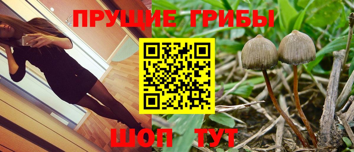Псилоцибиновые грибы мухоморы Новоалександровск